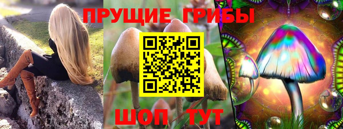 Лиски  хочу   Вход с VPN  Псилоцибиновые грибы мицелий  Псилоцибиновые грибы MAGIC MUSHROOMS 